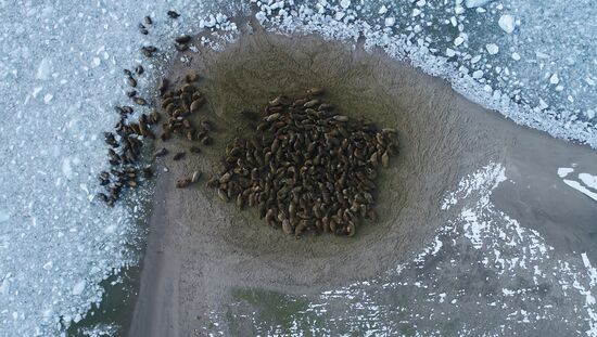 Franz Josef Land archipelago