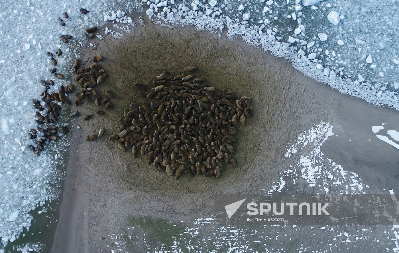 Franz Josef Land archipelago