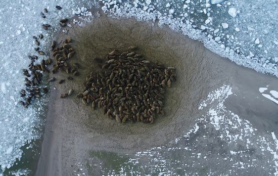 Franz Josef Land archipelago