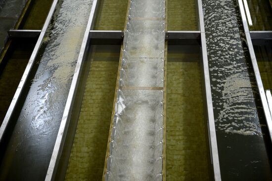 Rublevskaya water treatment plant
