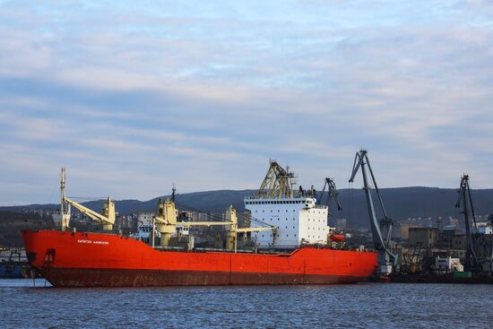 Ships in Kola Bay