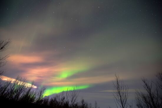 Northern lights in Murmansk region