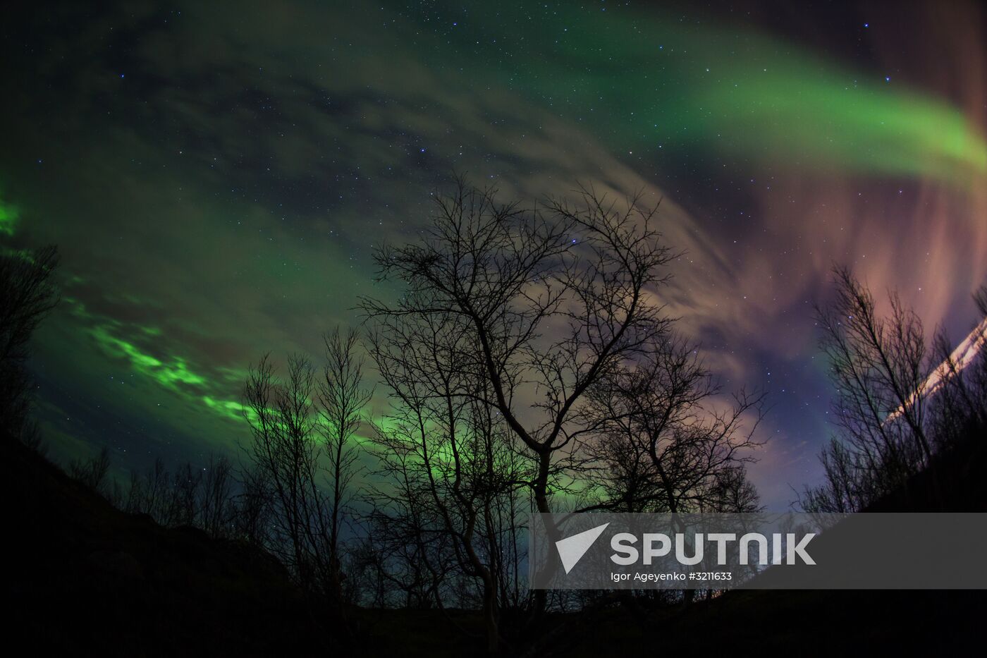 Northern lights in Murmansk region