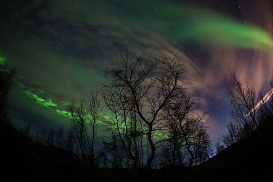 Northern lights in Murmansk region