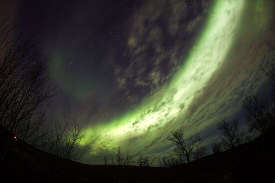 Northern lights in Murmansk region