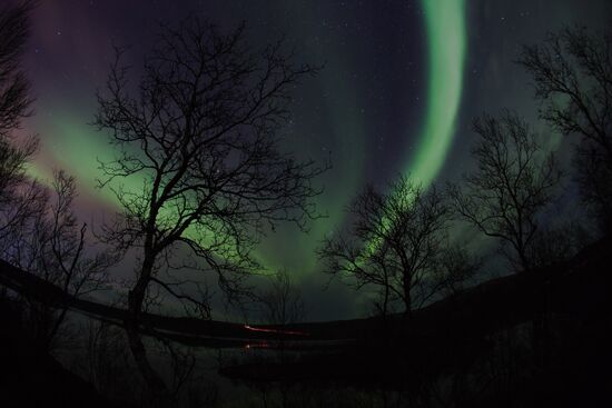 Northern lights in Murmansk region
