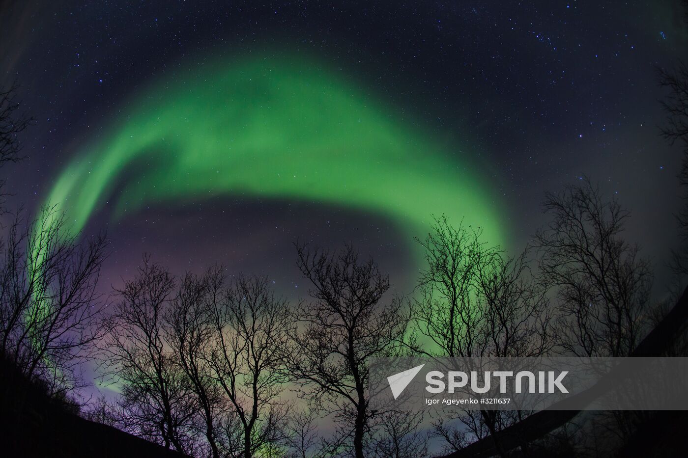 Northern lights in Murmansk region