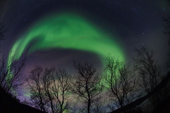 Northern lights in Murmansk region