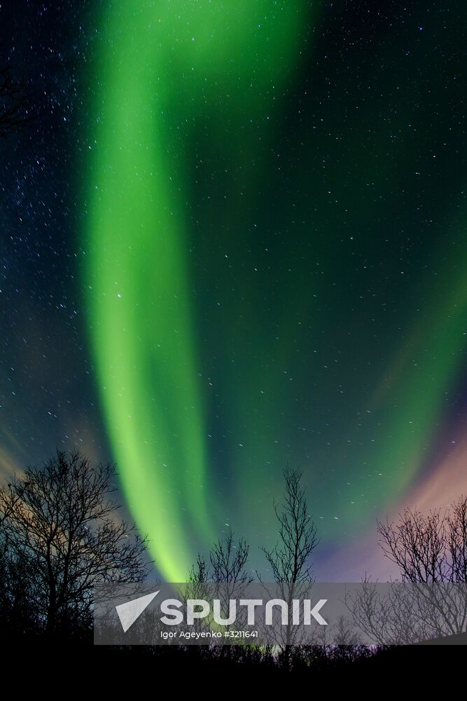 Northern lights in Murmansk region