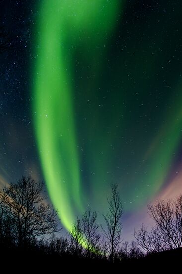 Northern lights in Murmansk region