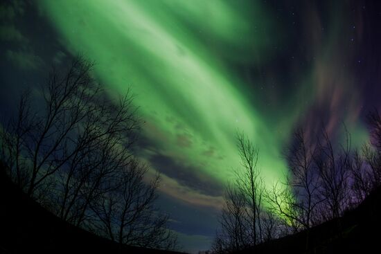 Northern lights in Murmansk region