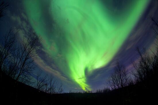 Northern lights in Murmansk region