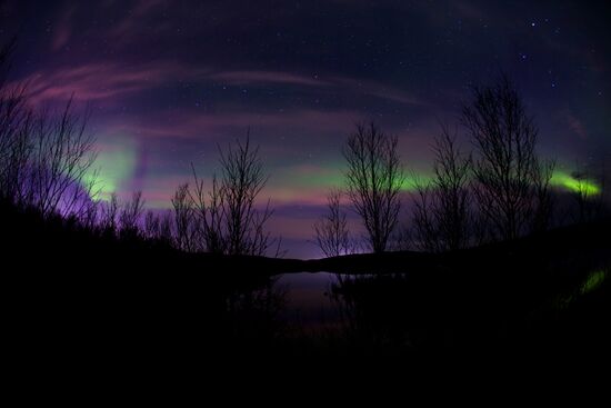 Northern lights in Murmansk region