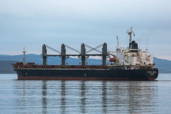 Ships in Kola Bay