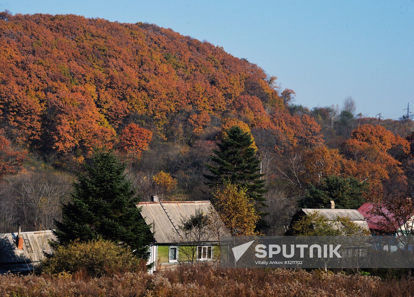Autumn in Primorye Territory