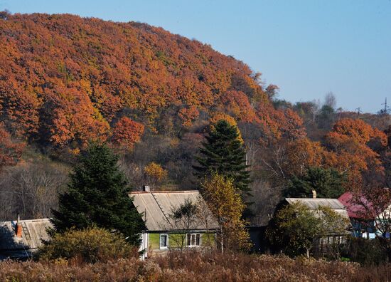 Autumn in Primorye Territory