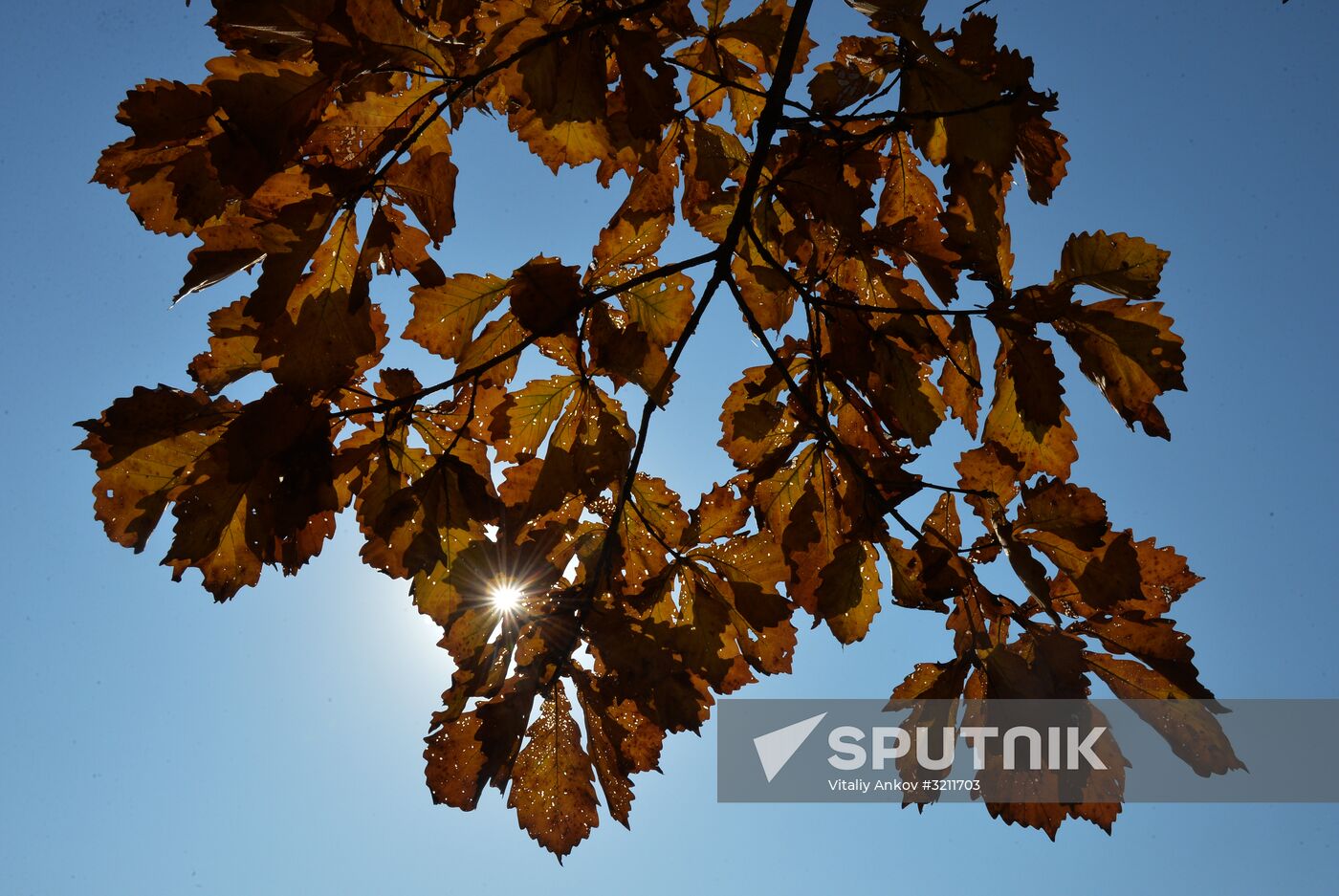 Autumn in Primorye Territory