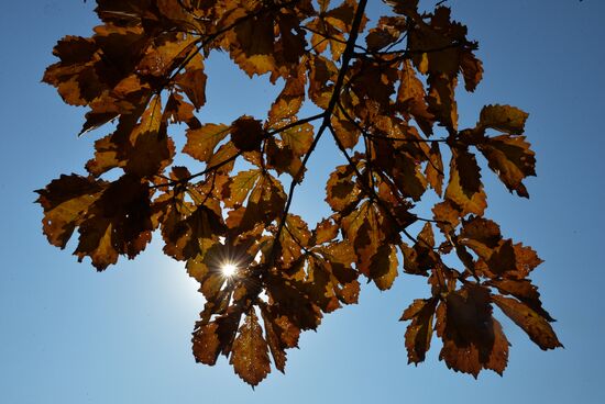 Autumn in Primorye Territory