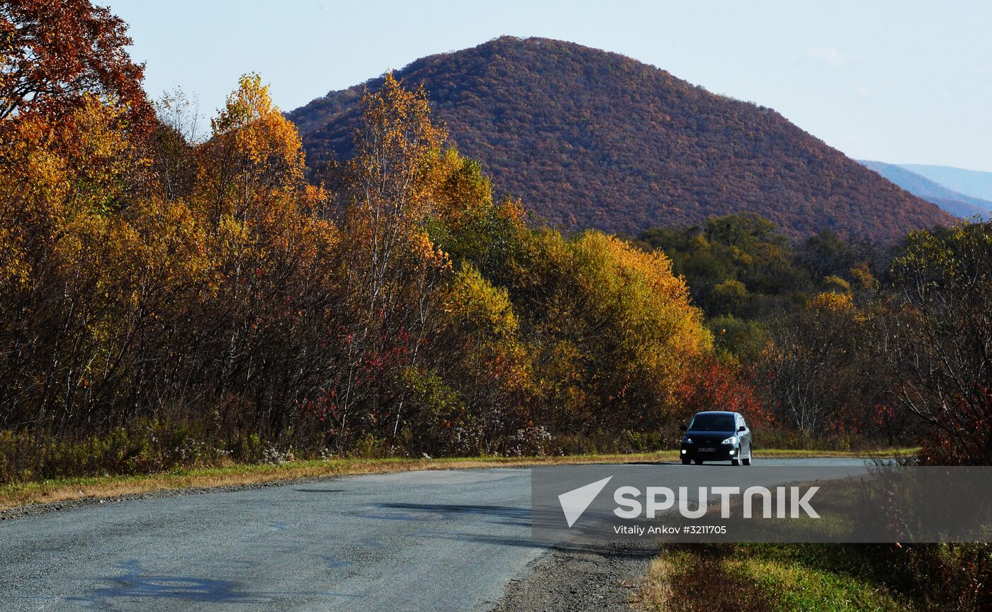Autumn in Primorye Territory