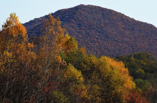 Autumn in Primorye Territory