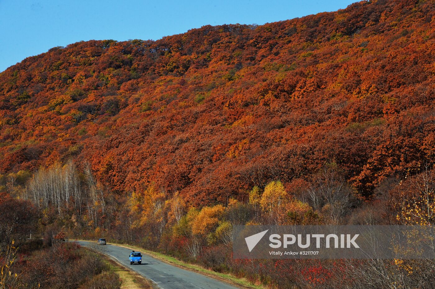 Autumn in Primorye Territory
