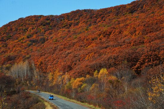 Autumn in Primorye Territory