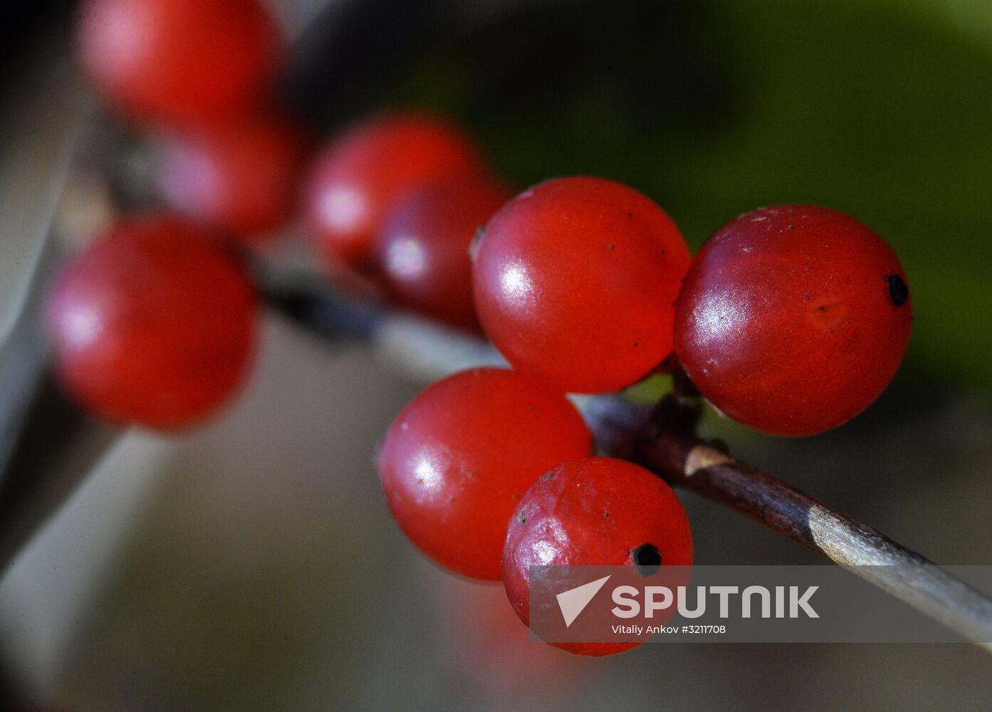 Fall in Primorye Territory