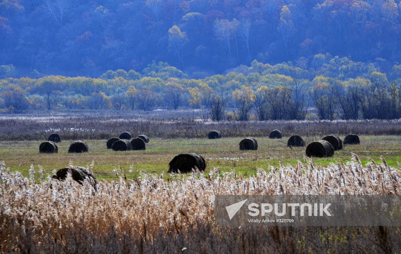 Autumn in Primorye Territory