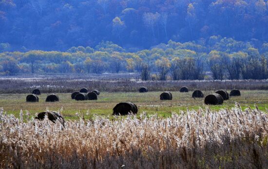 Autumn in Primorye Territory