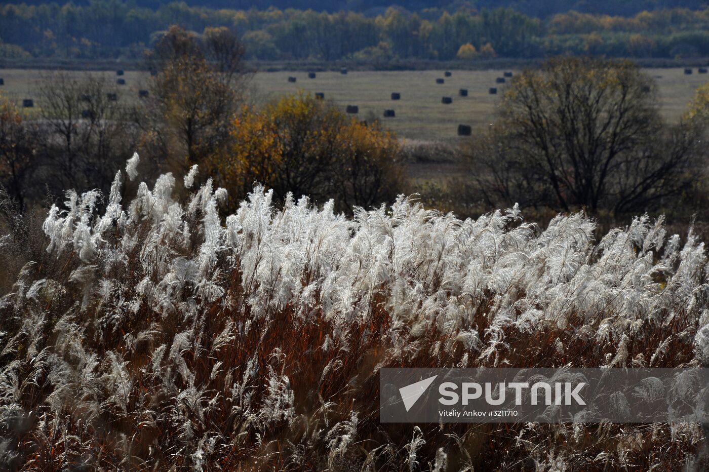 Autumn in Primorye Territory