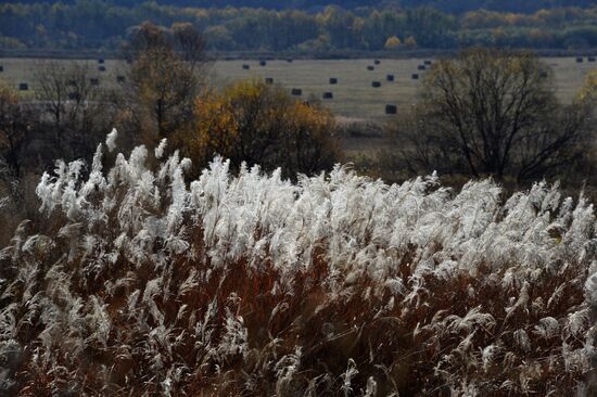Autumn in Primorye Territory