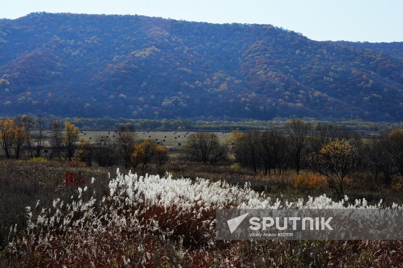 Autumn in Primorye Territory