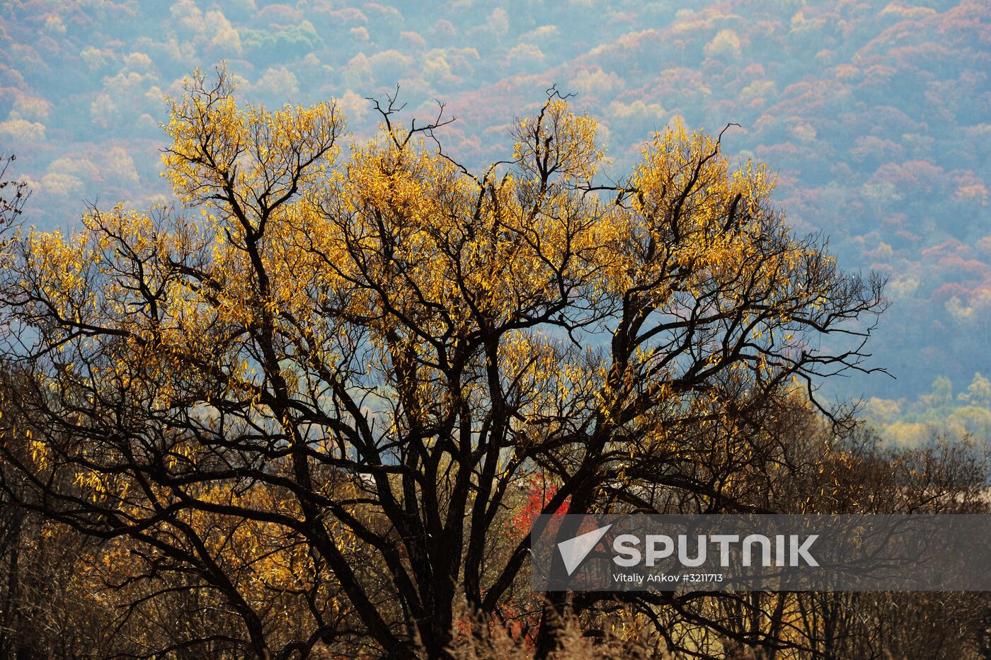 Autumn in Primorye Territory