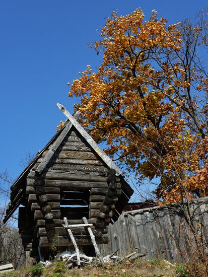Autumn in Primorye Territory