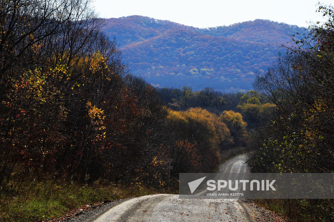 Autumn in Primorye Territory