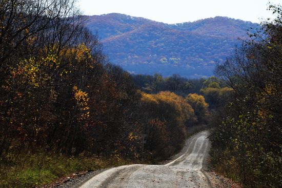 Autumn in Primorye Territory