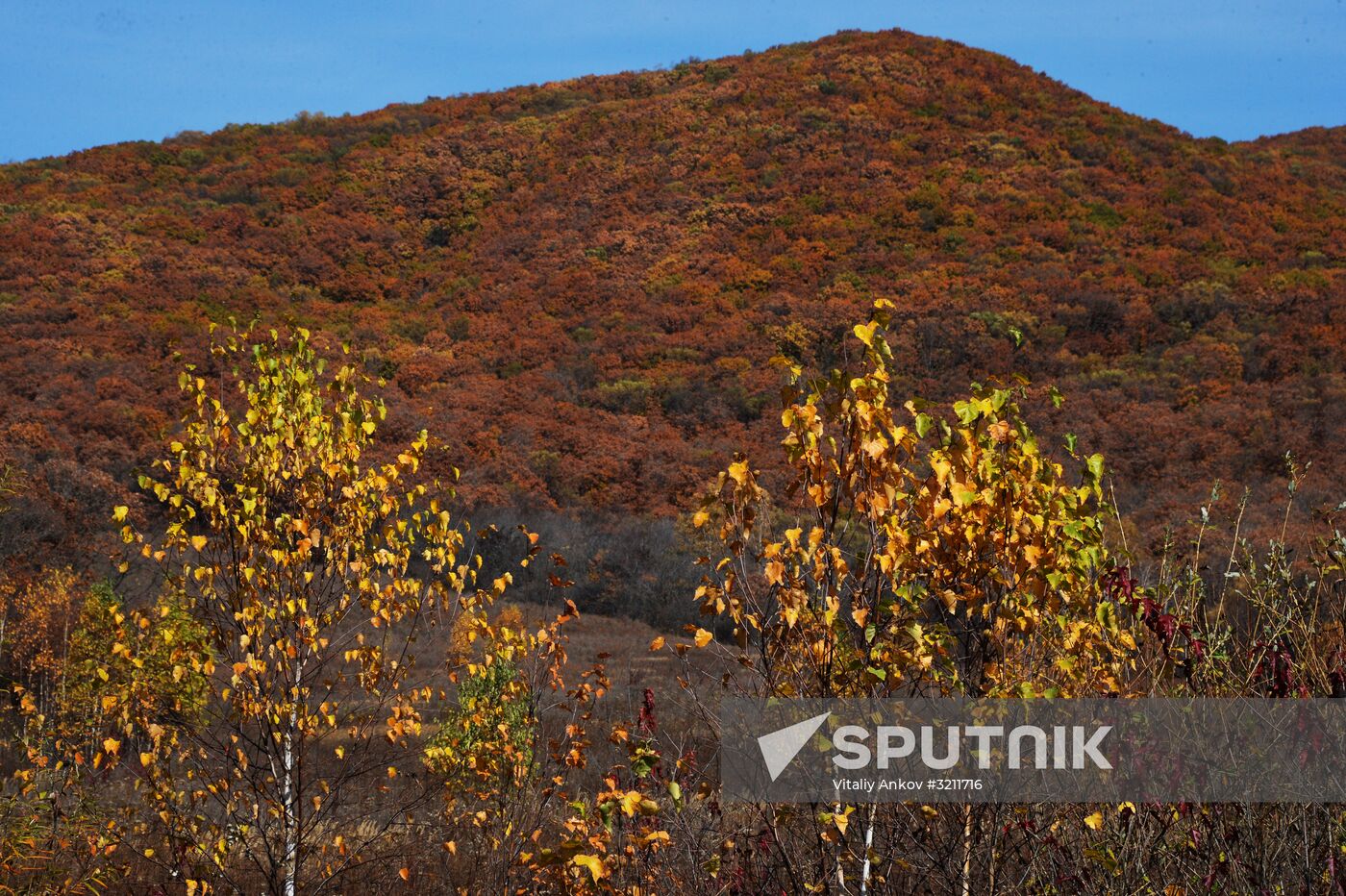 Autumn in Primorye Territory
