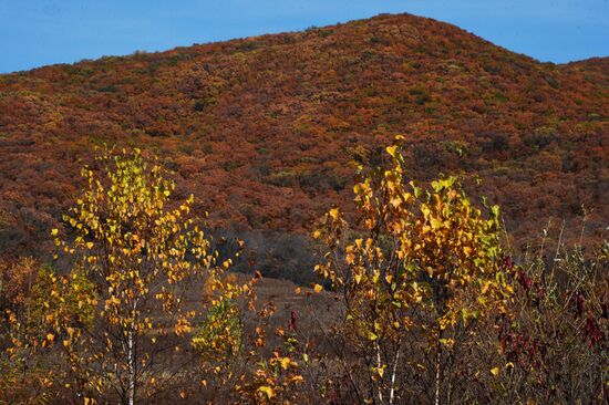 Autumn in Primorye Territory