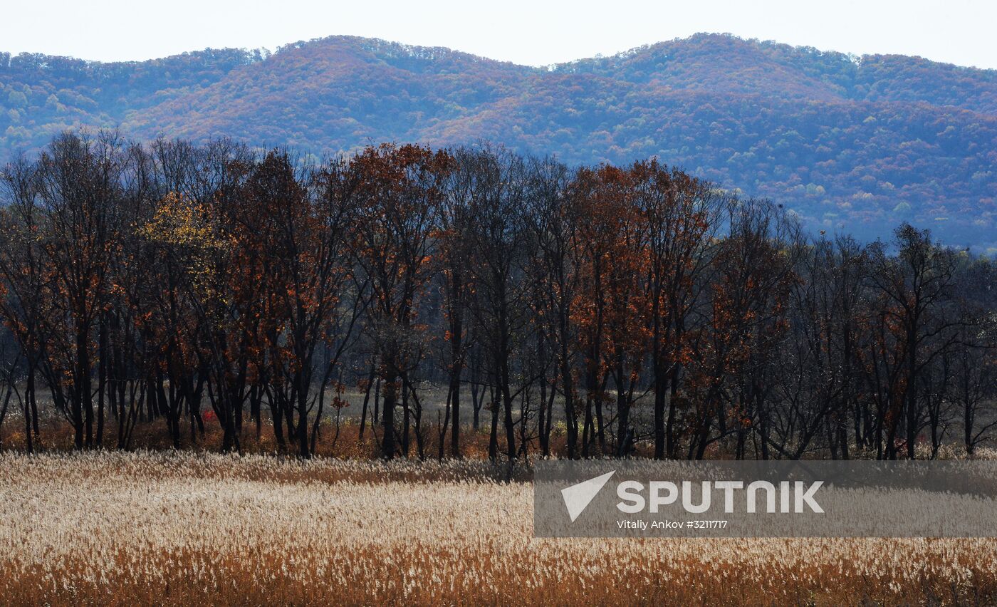 Autumn in Primorye Territory
