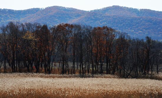 Autumn in Primorye Territory