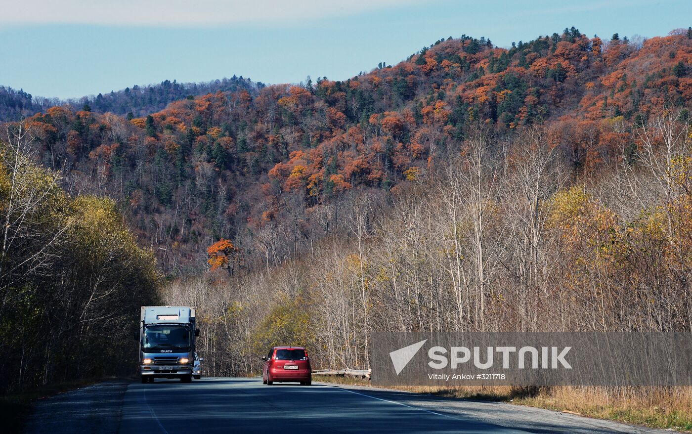 Autumn in Primorye Territory