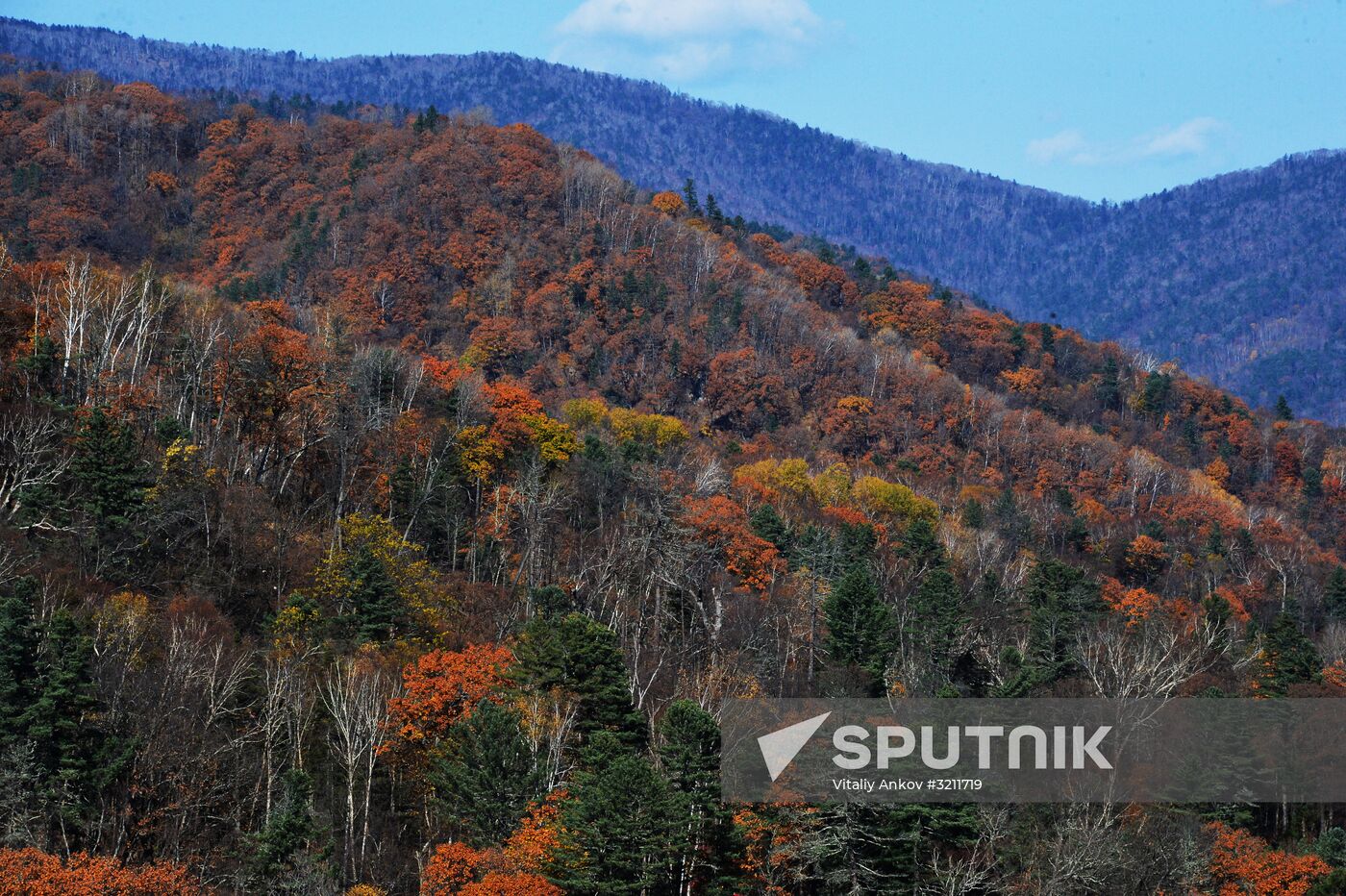 Autumn in Primorye Territory
