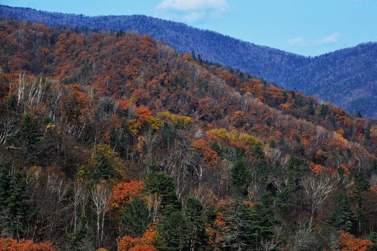Autumn in Primorye Territory