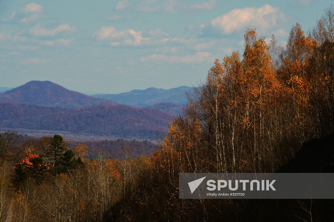 Autumn in Primorye Territory
