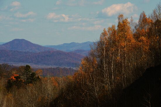 Autumn in Primorye Territory
