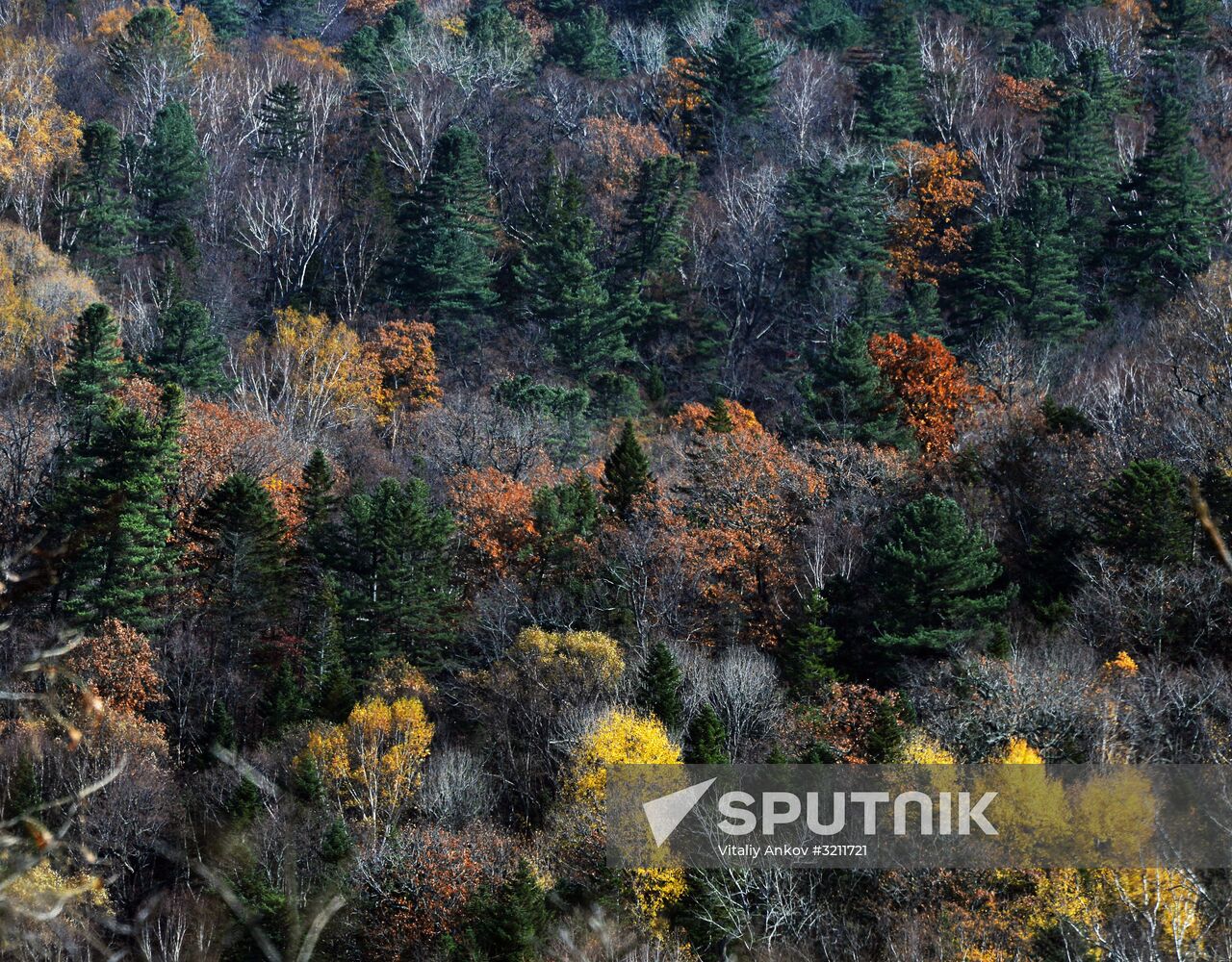 Autumn in Primorye Territory