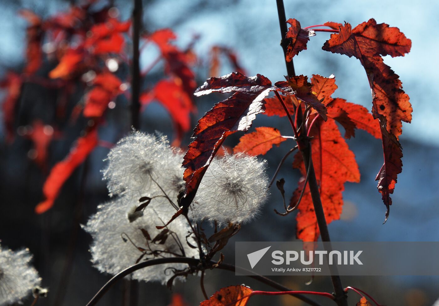 Autumn in Primorye Territory