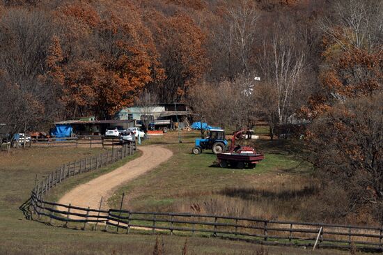 Autumn in Primorye Territory