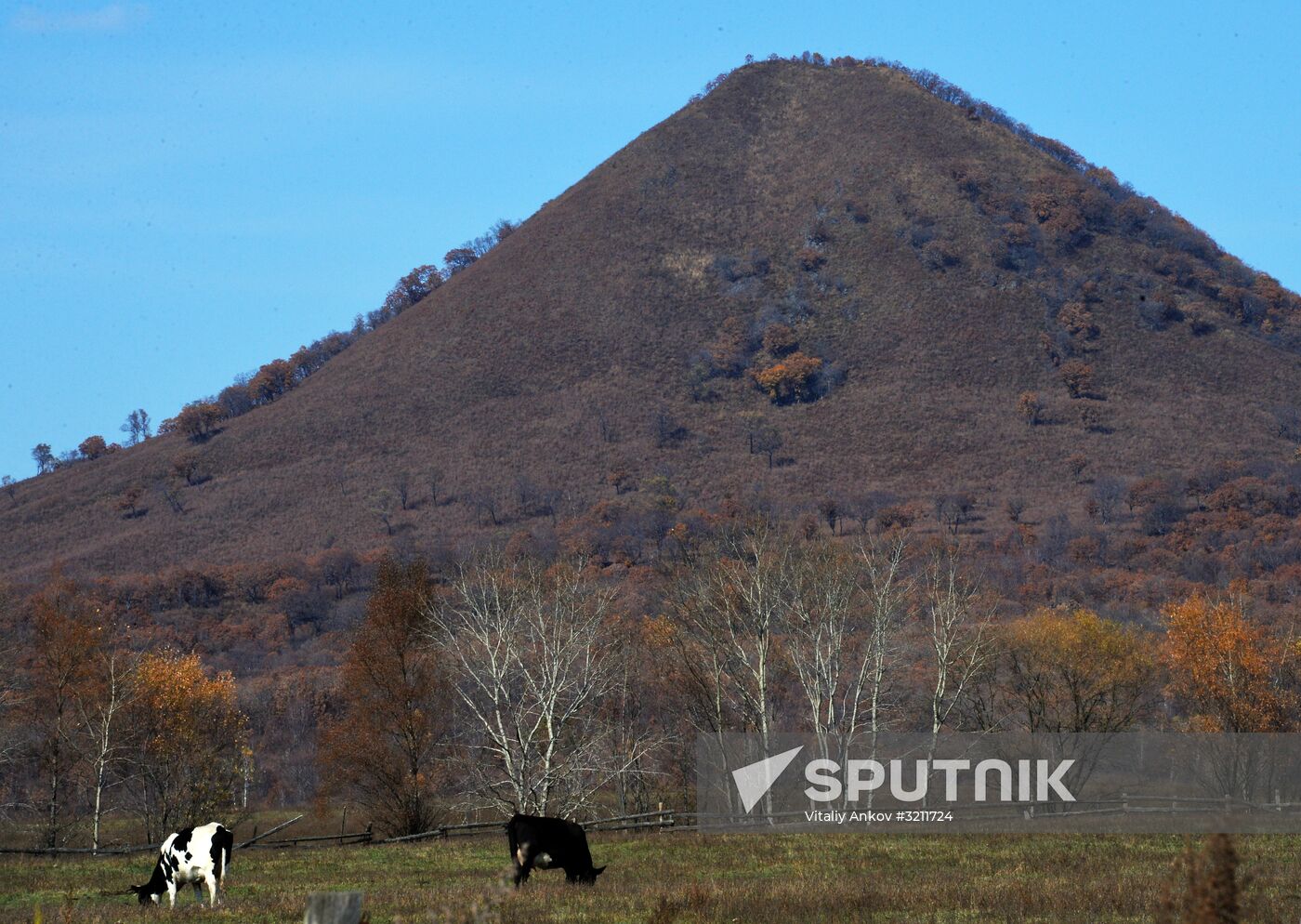 Autumn in Primorye Territory