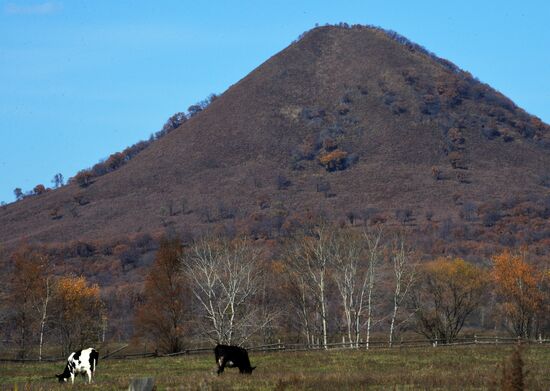 Autumn in Primorye Territory